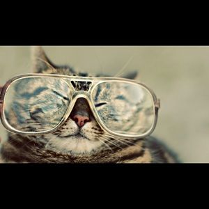 Meet your Posher, Semi